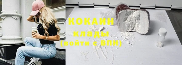 a pvp Новозыбков