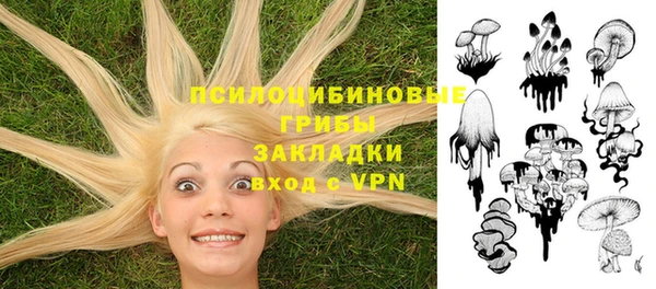стаф Болхов