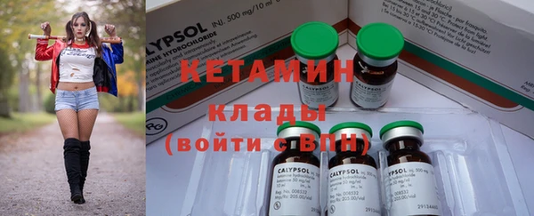 крисы Новодвинск