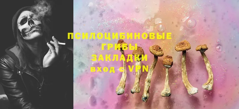 kraken зеркало  Исилькуль  Галлюциногенные грибы MAGIC MUSHROOMS  купить  