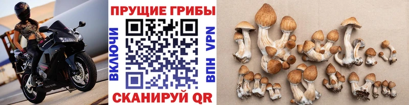 Псилоцибиновые грибы прущие грибы  Исилькуль 